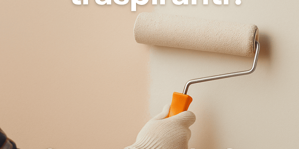 Pitture lavabili o traspiranti? Scopri quale fa al caso tuo